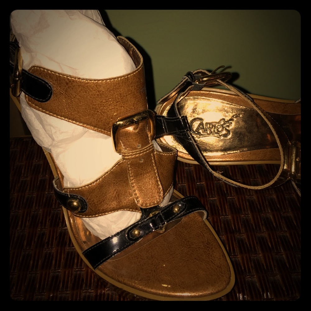 Carlos Santana Brown and Black Heels